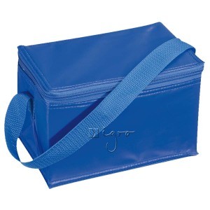 Small cooler bag with shoulder strap